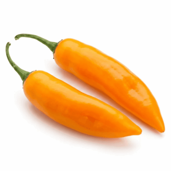 AJI AMARILLO