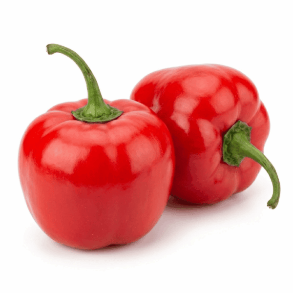 AJI ROCOTTO FRESCO