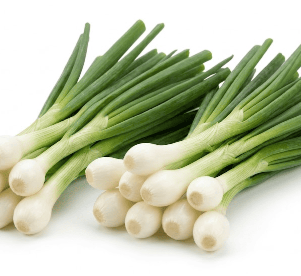 CEBOLLA LARGA