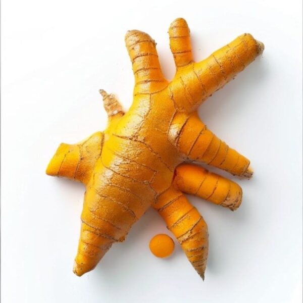 CURCUMA