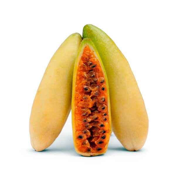 CURUBA
