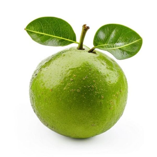 FEIJOA