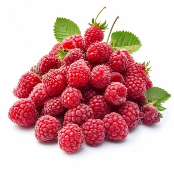 FRAMBUESA