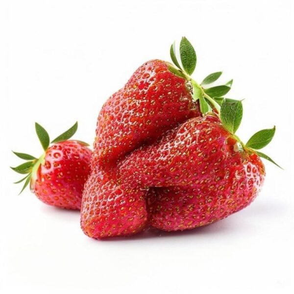 FRESA JUMBO