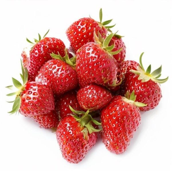 FRESA NORMAL