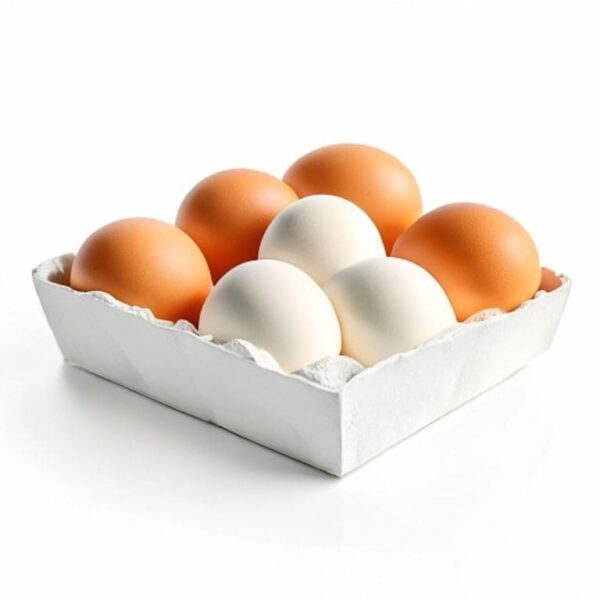 HUEVOS AA
