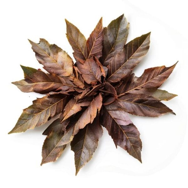 LAUREL