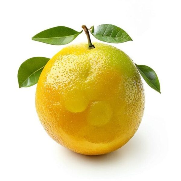 LIMON MANDARINO