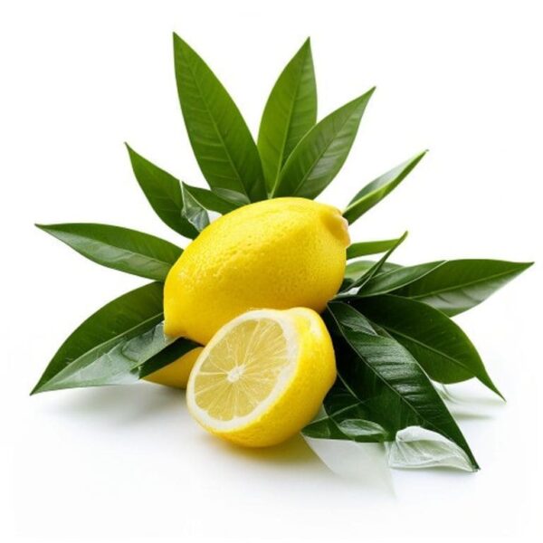 LIMONARIA