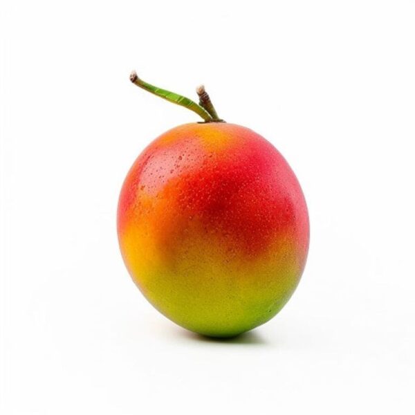 MANGO TOMY