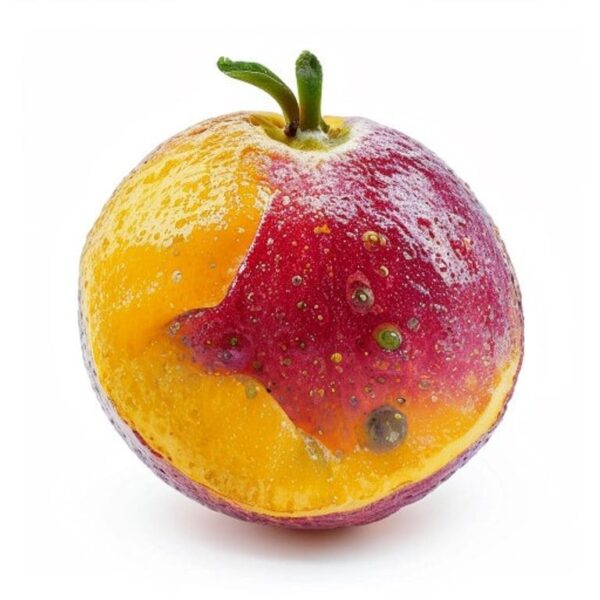 MARACUYA FRUTA