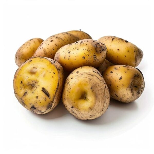 PAPA PASTUSA