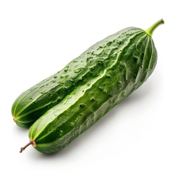 PEPINO EUROPEO