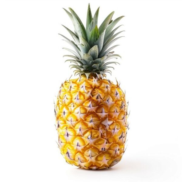 PIÑA COMUN