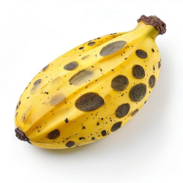 PLATANO MADURO