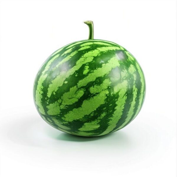 SANDIA GRANDE