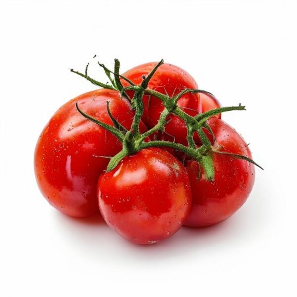 TOMATE CHONTO